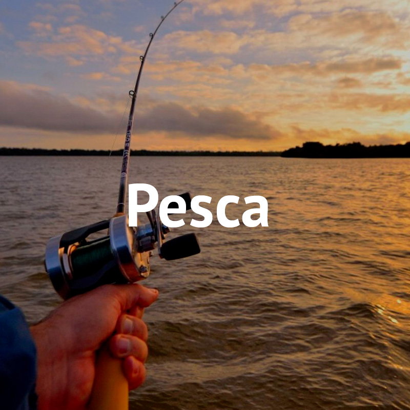 Pesca